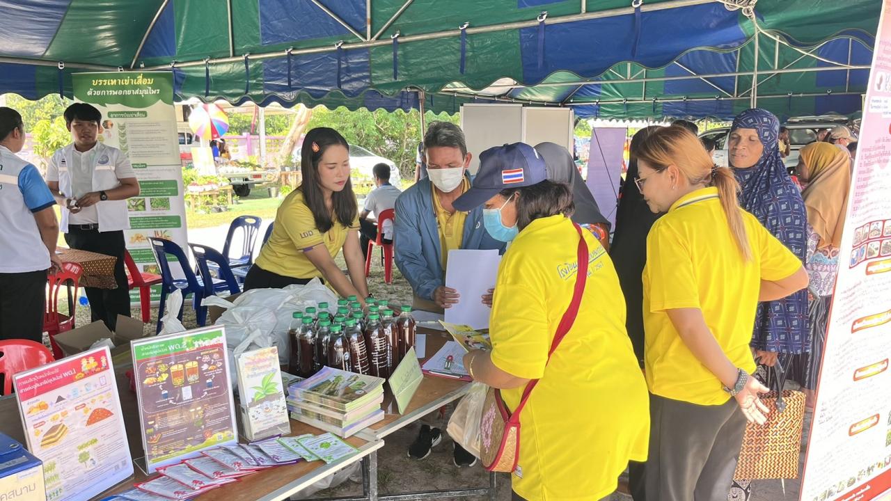 ภาพประกอบที่ 11