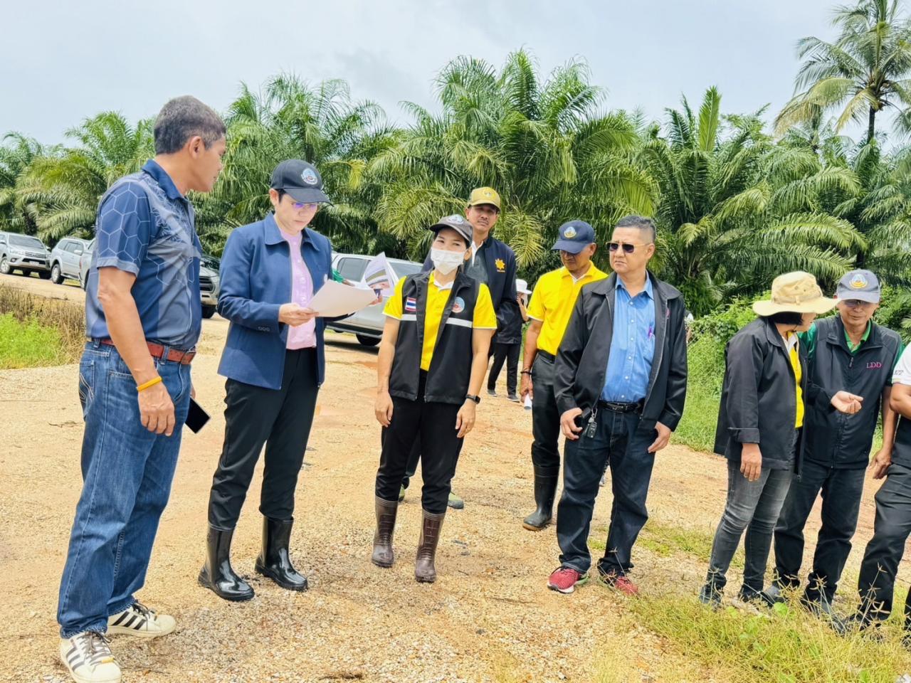 ภาพประกอบที่ 3