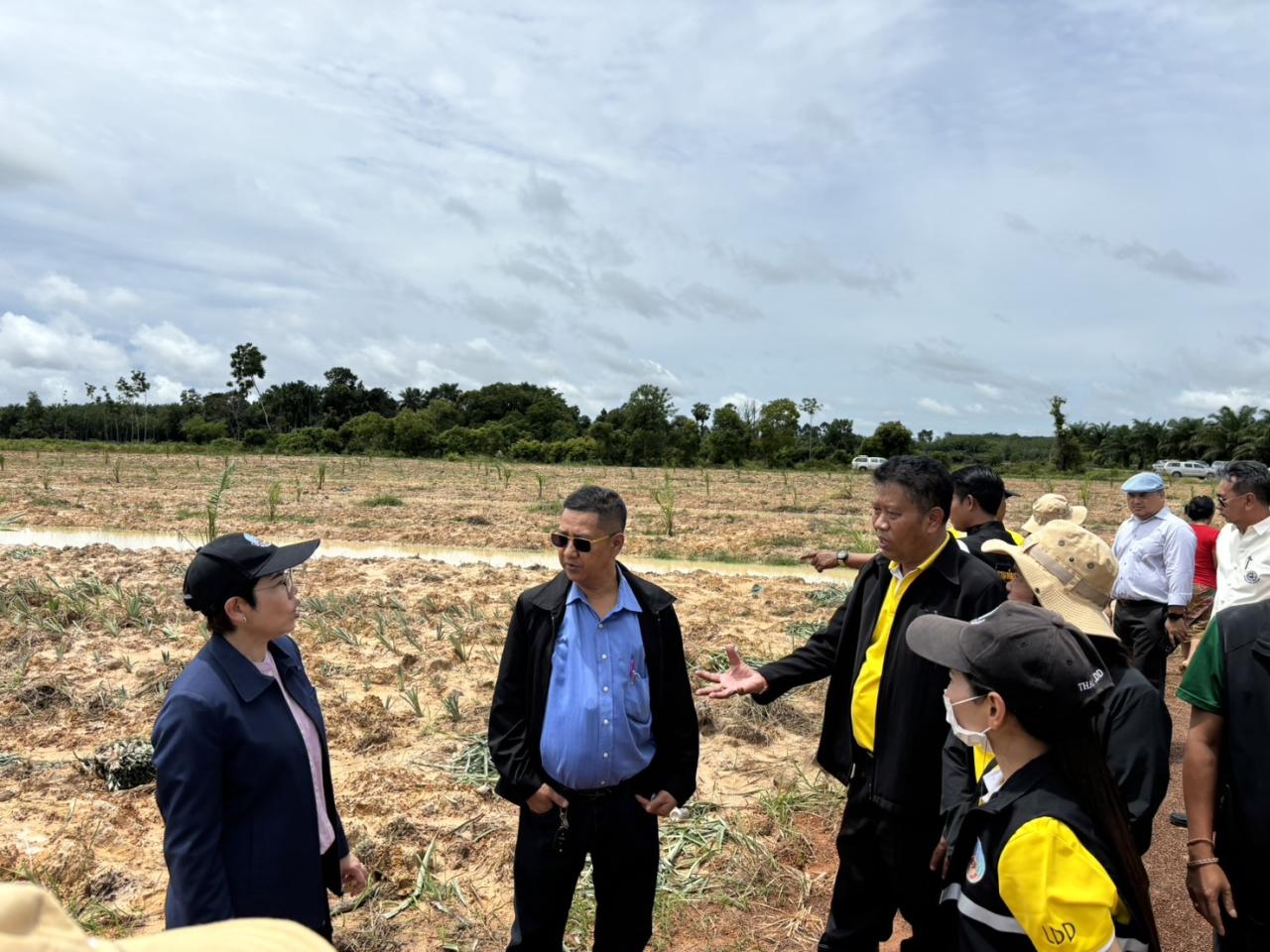 ภาพประกอบที่ 5