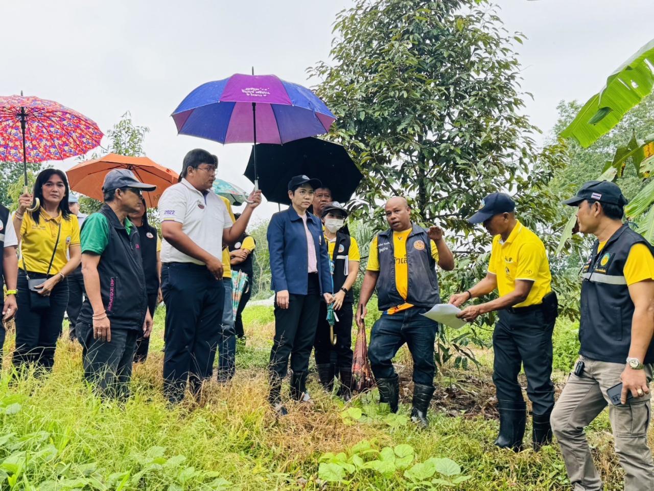 ภาพประกอบที่ 6