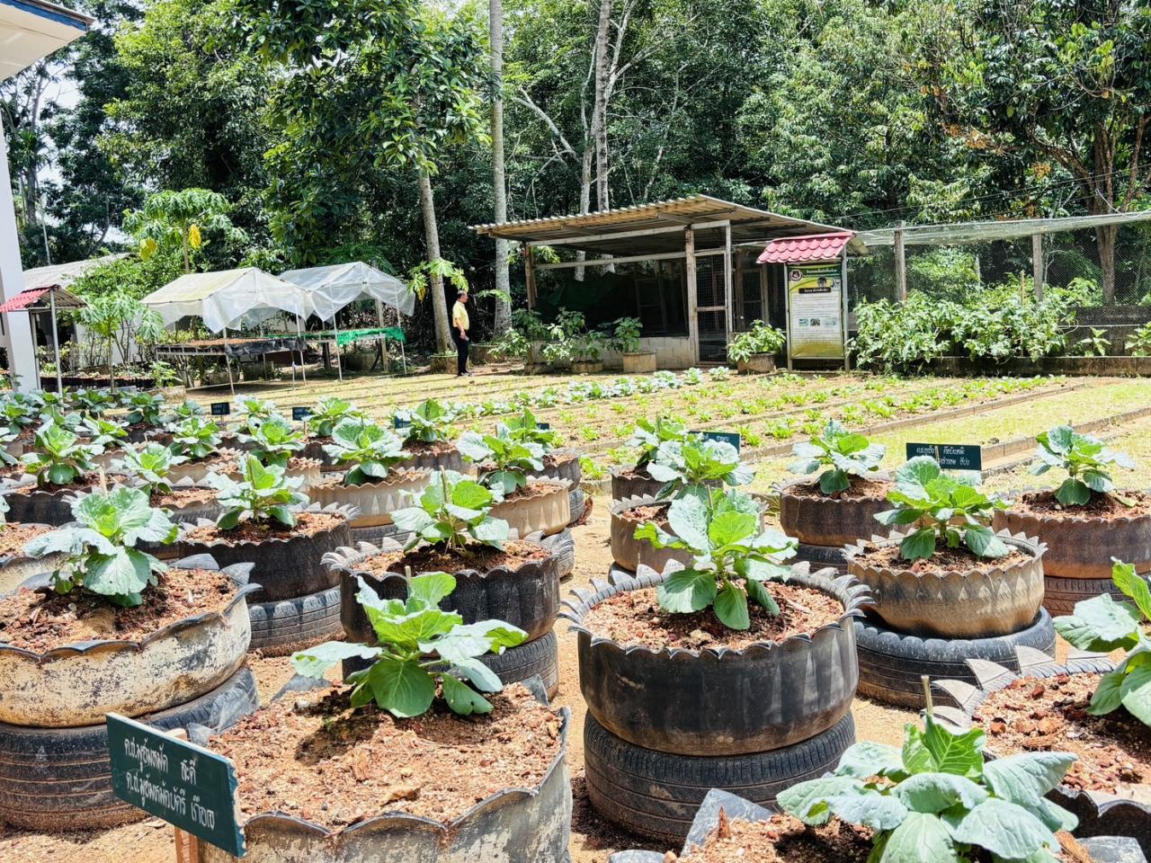ภาพประกอบที่ 5