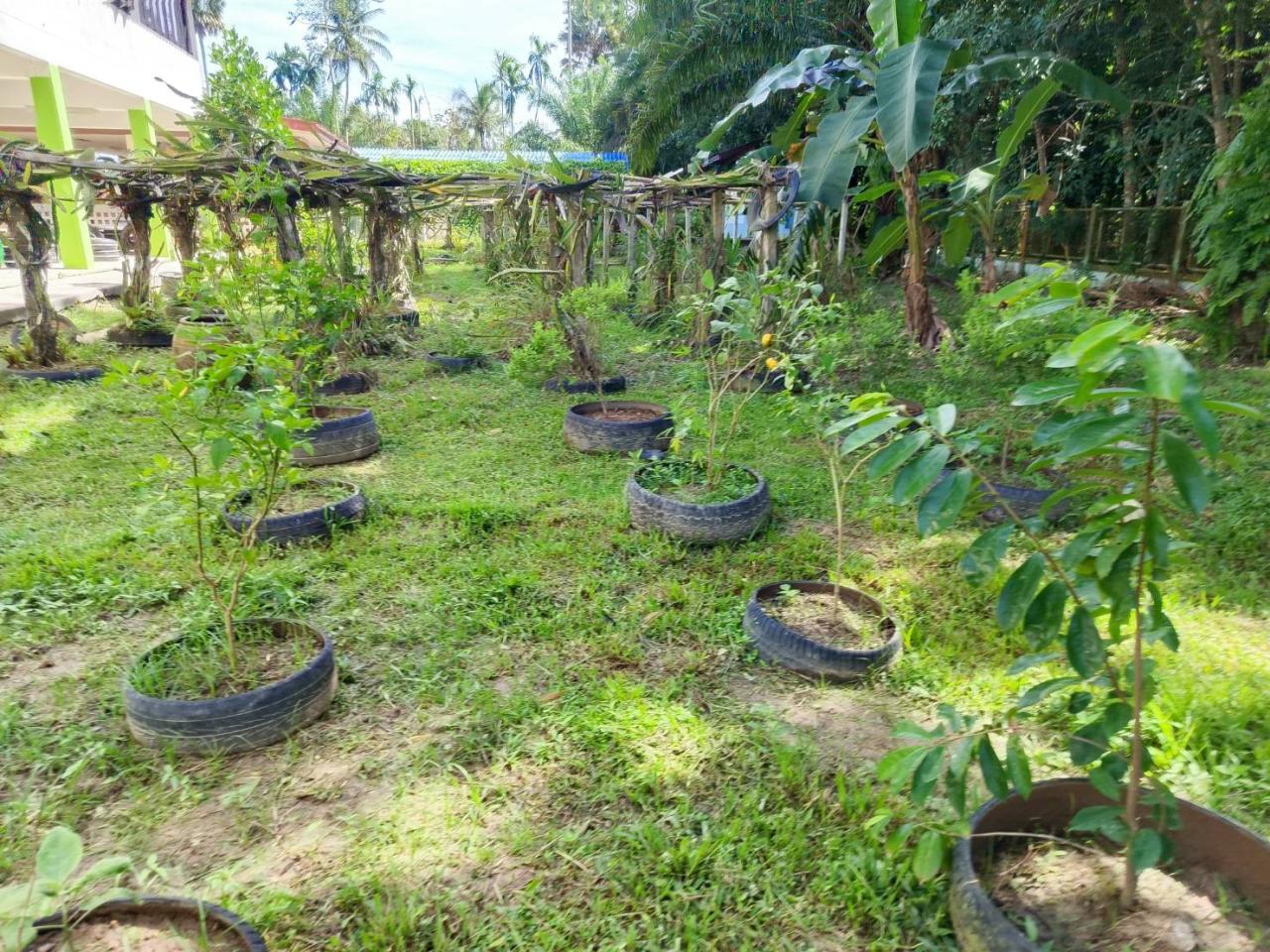 ภาพประกอบที่ 1