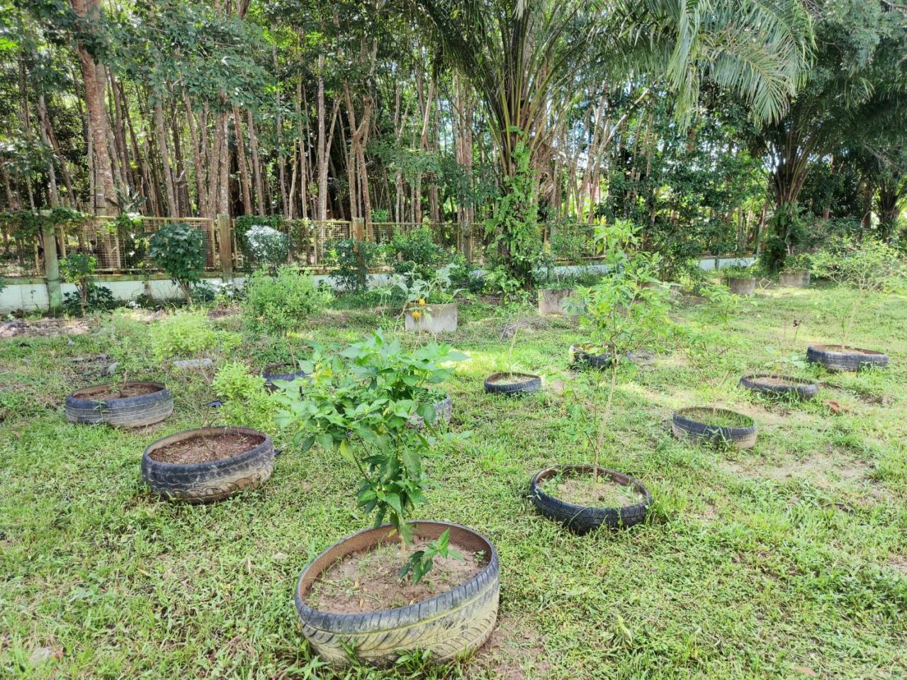 ภาพประกอบที่ 2