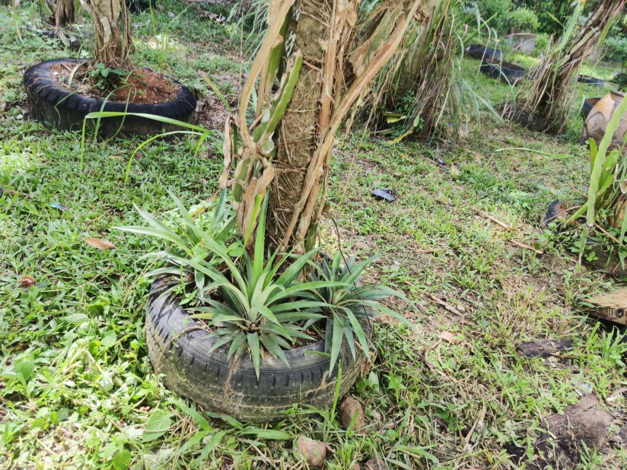 ภาพประกอบที่ 3