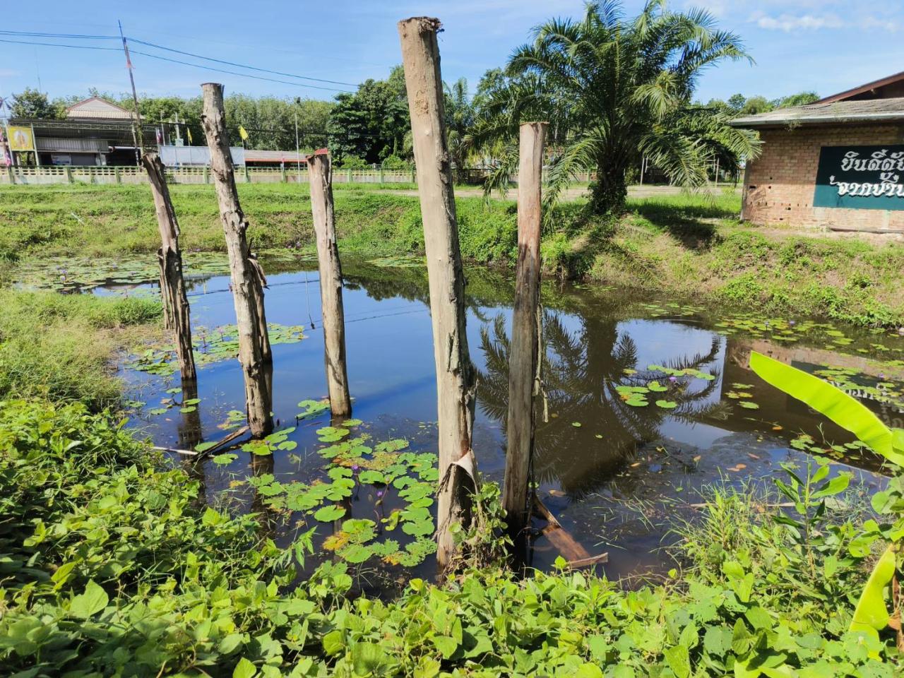 ภาพประกอบที่ 4