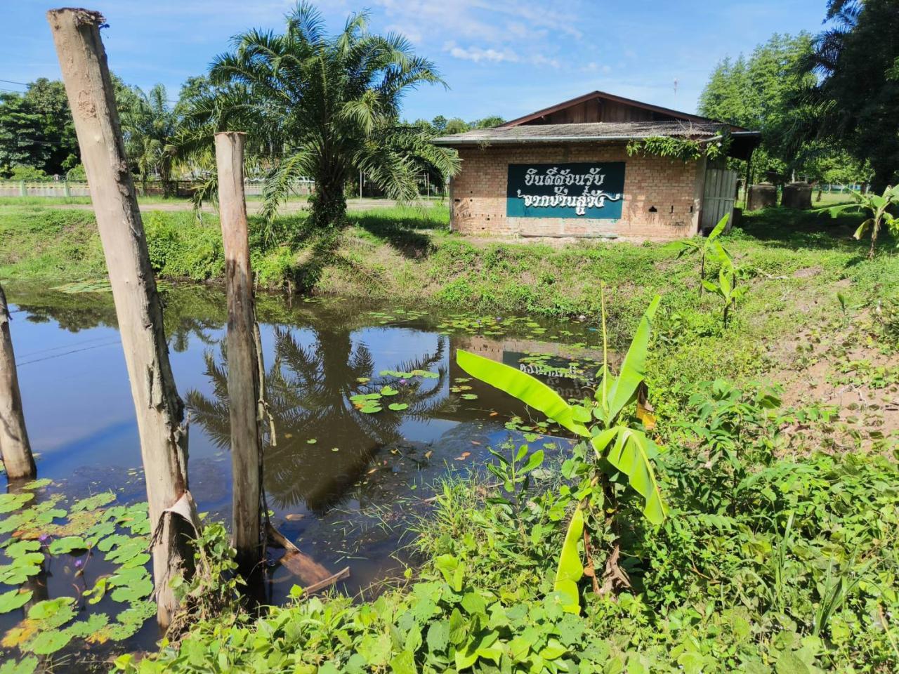 ภาพประกอบที่ 5