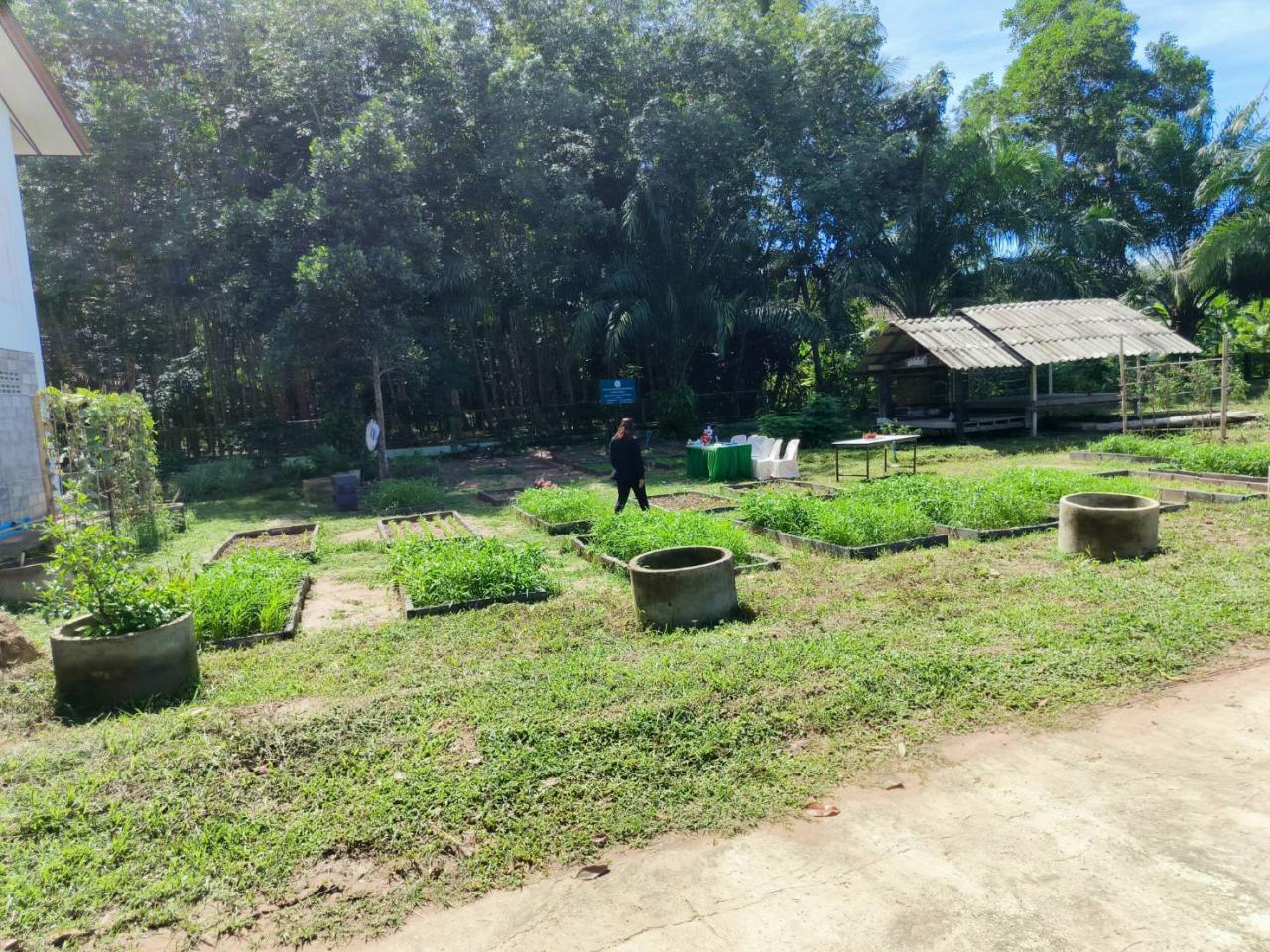 ภาพประกอบที่ 6