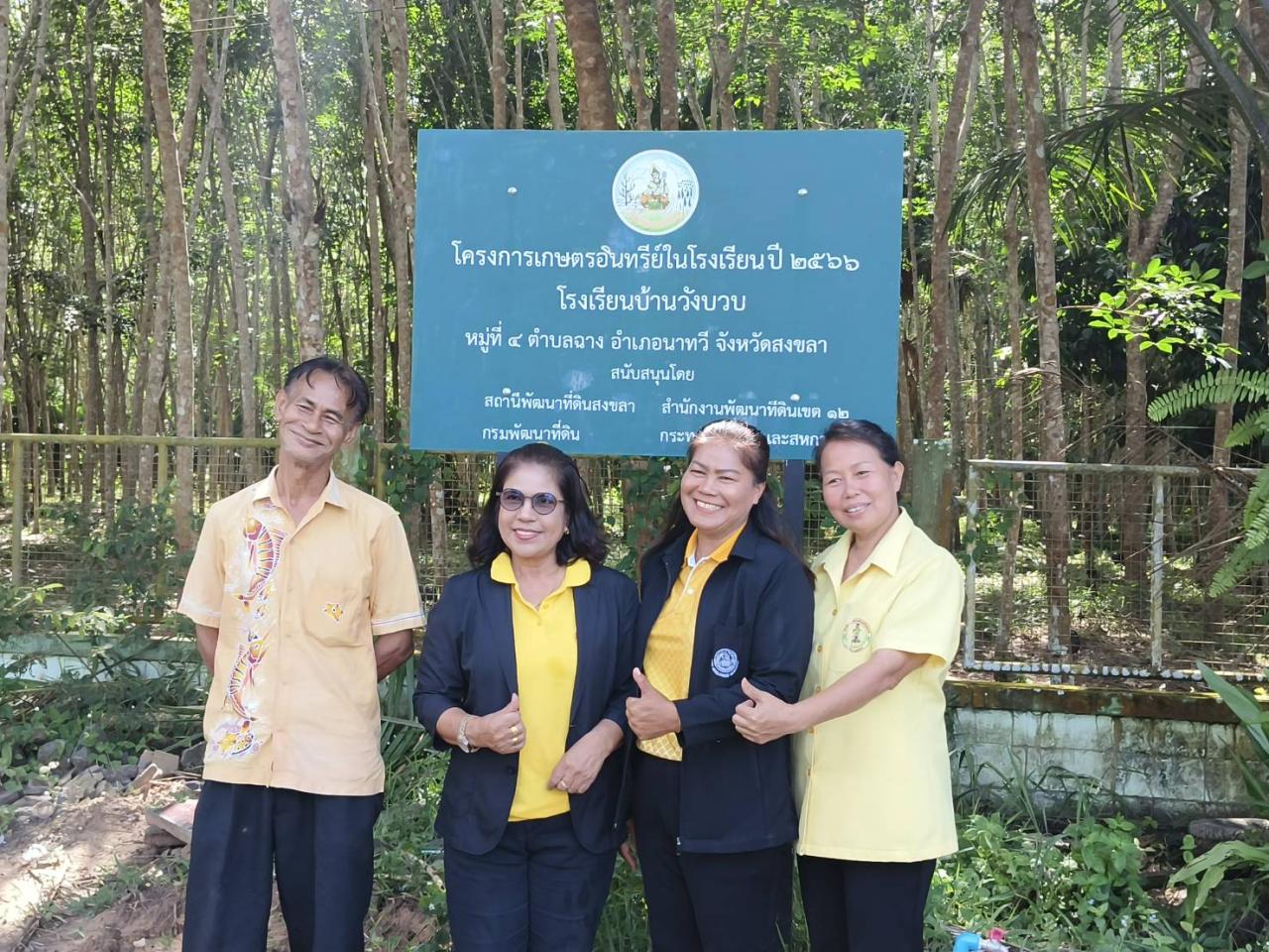 ภาพประกอบที่ 11