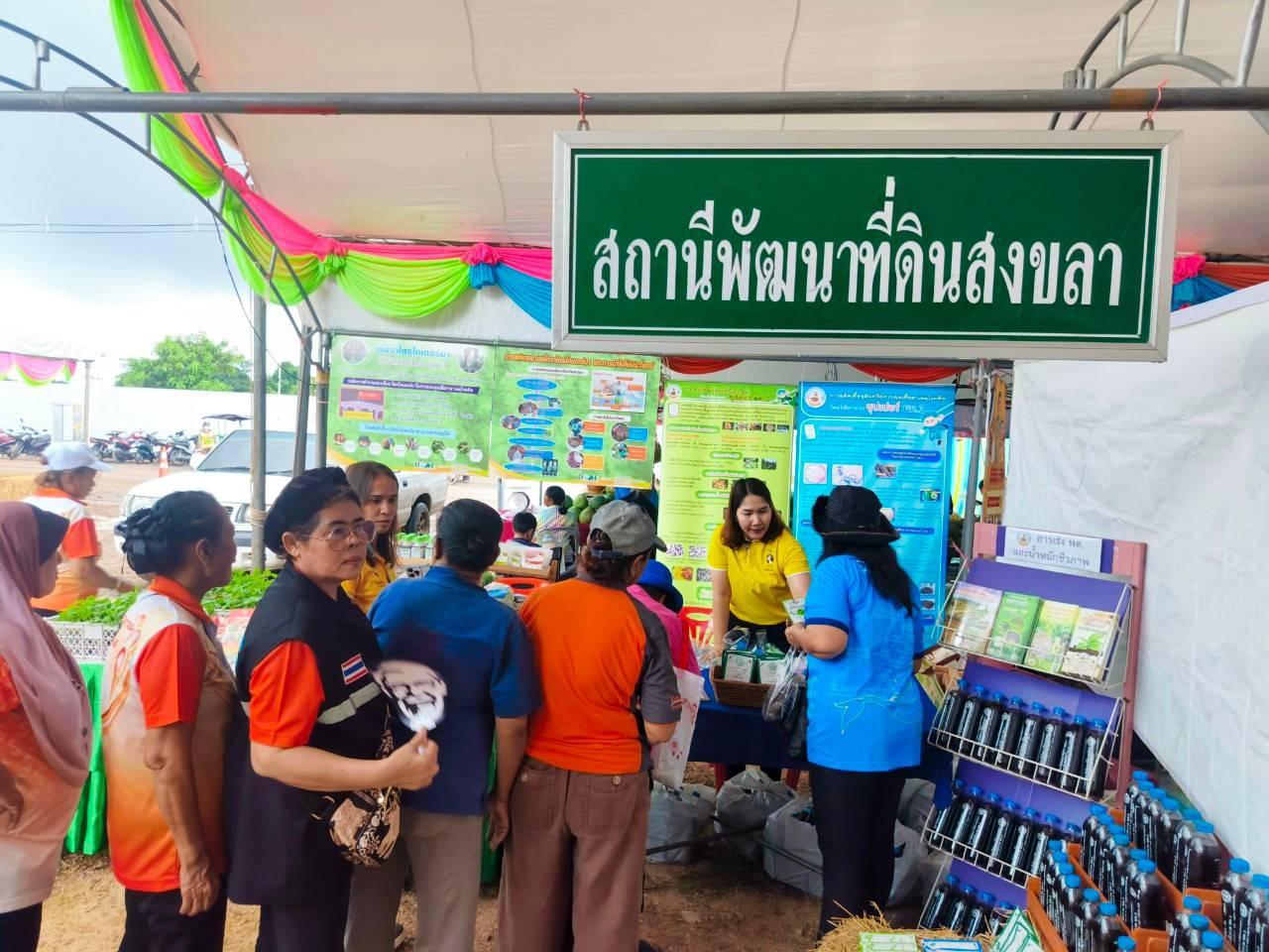 ภาพประกอบที่ 5