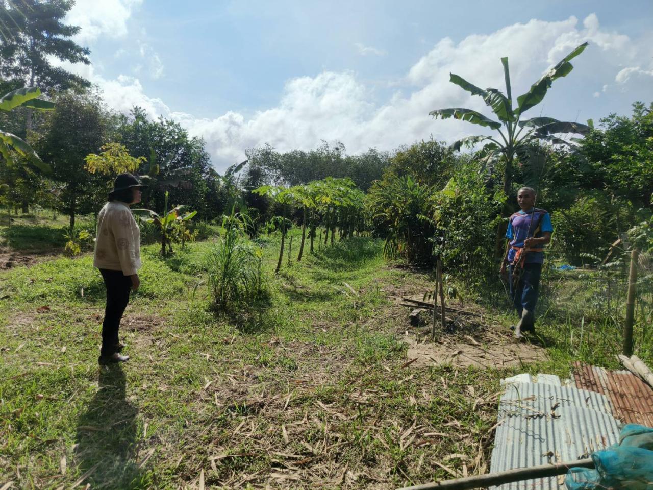 ภาพประกอบที่ 1