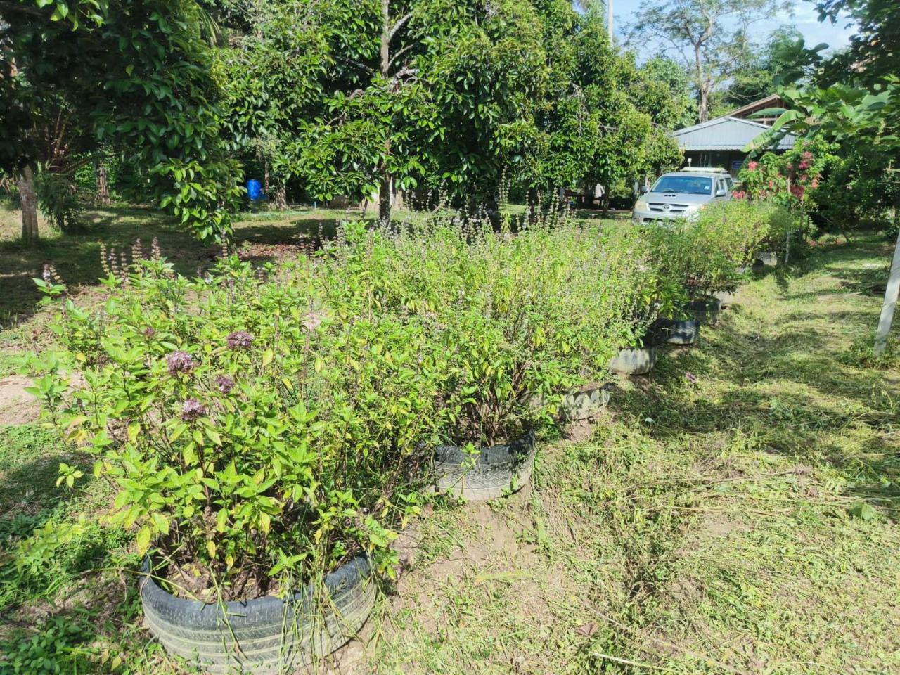 ภาพประกอบที่ 6