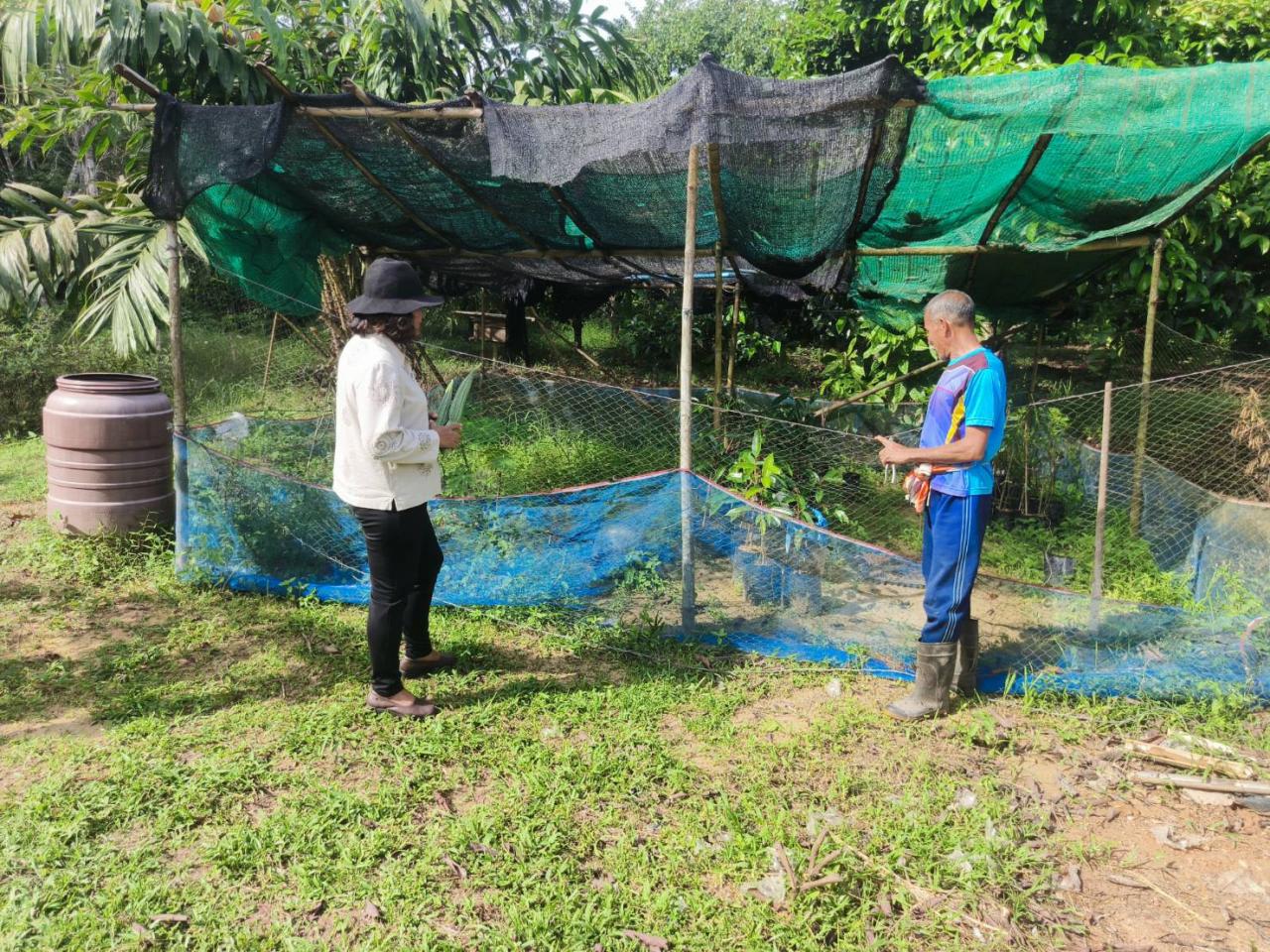 ภาพประกอบที่ 7