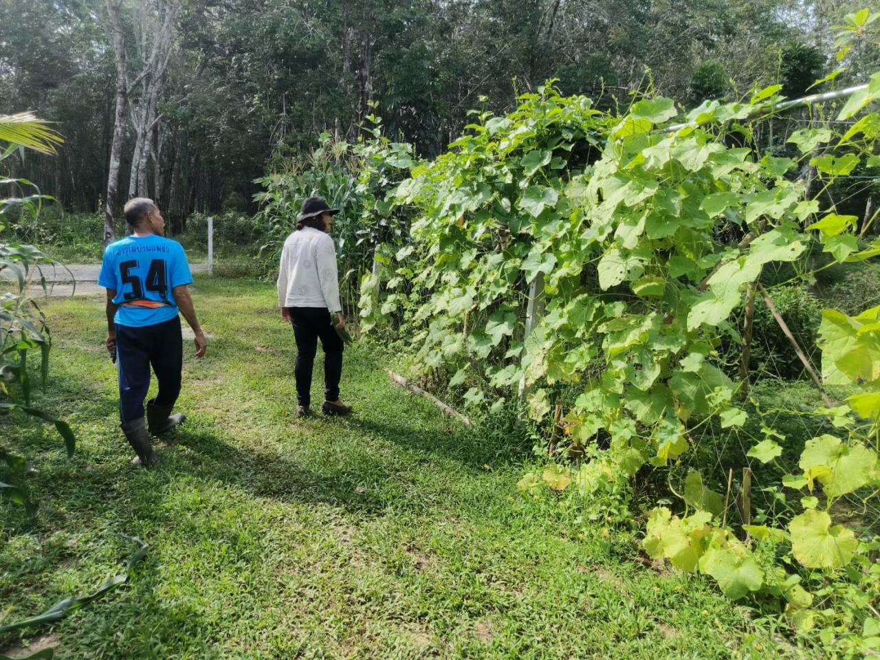 ภาพประกอบที่ 8