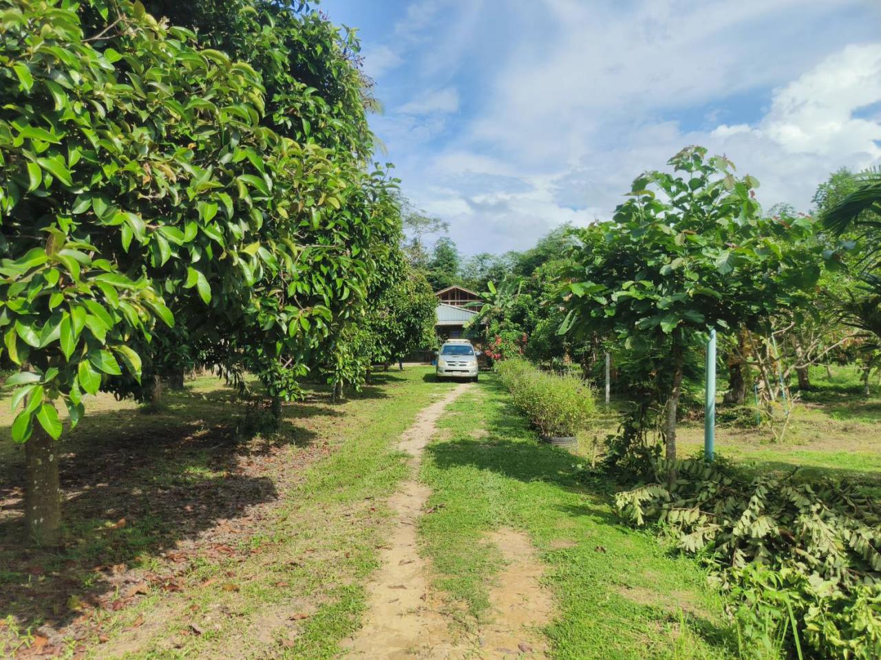 ภาพประกอบที่ 10