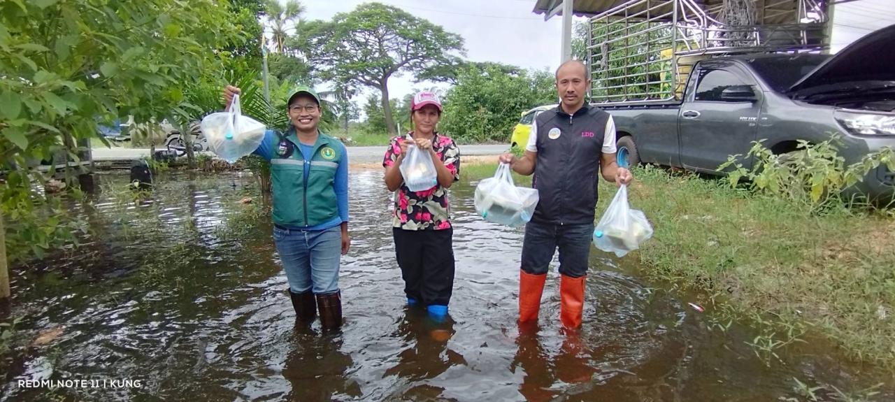 ภาพประกอบที่ 1