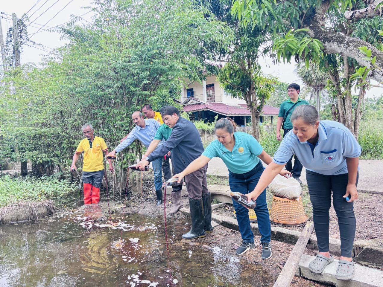 ภาพประกอบที่ 7