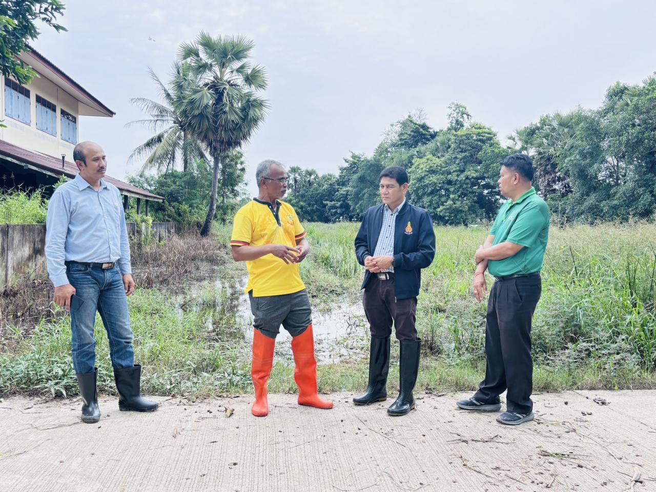 ภาพประกอบที่ 8