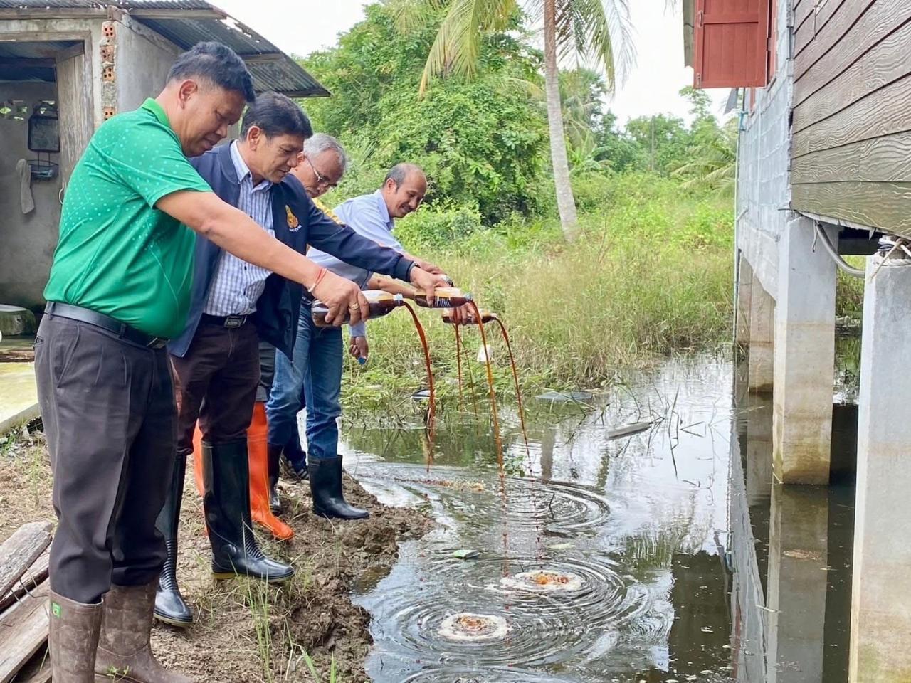 ภาพประกอบที่ 9