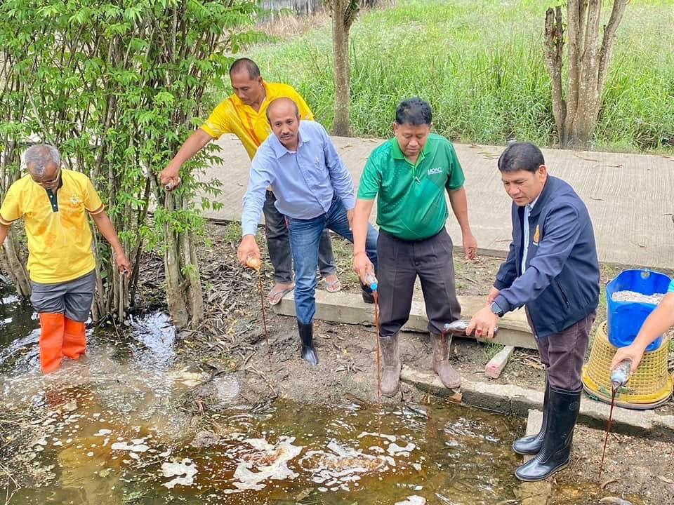 ภาพประกอบที่ 10