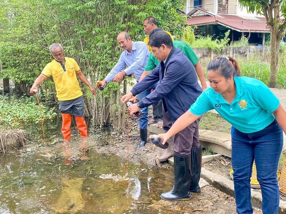 ภาพประกอบที่ 11