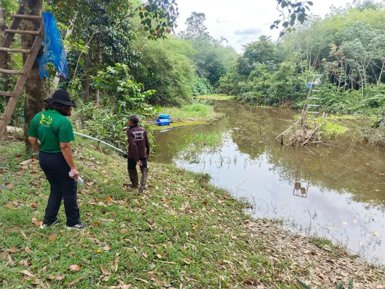 ภาพประกอบที่ 2