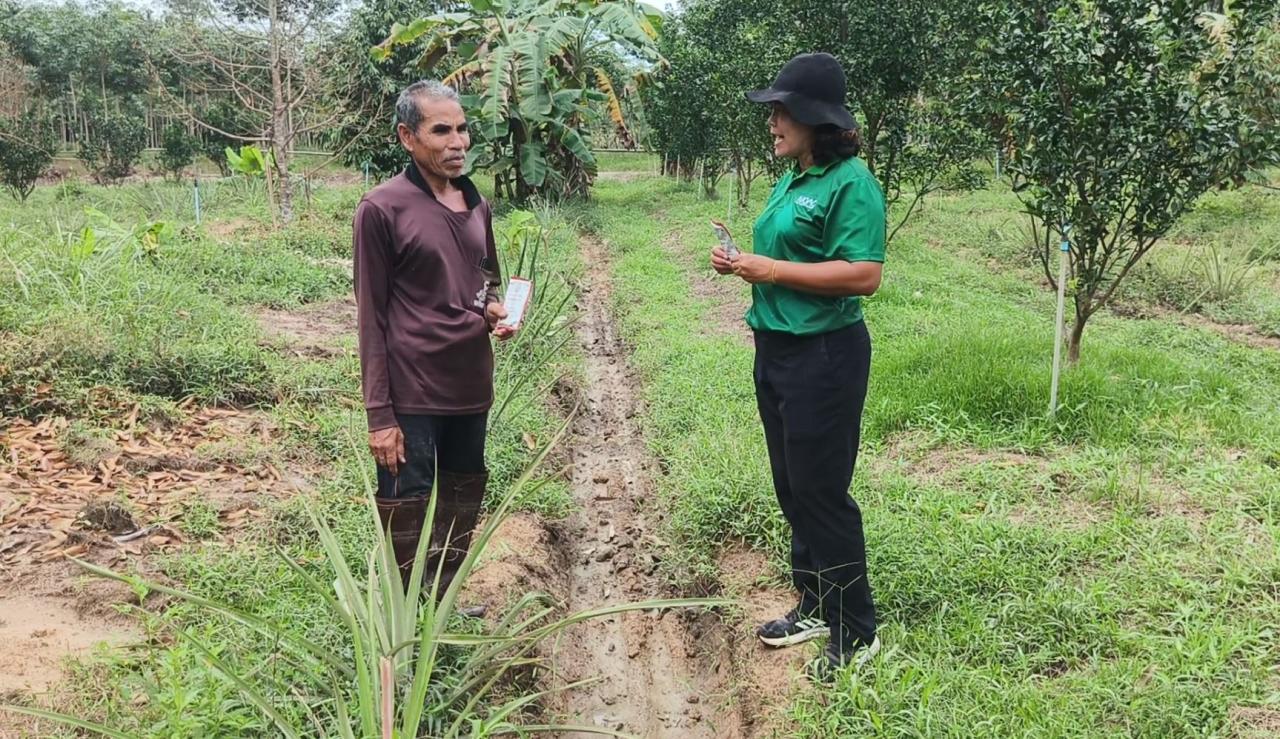 ภาพประกอบที่ 4