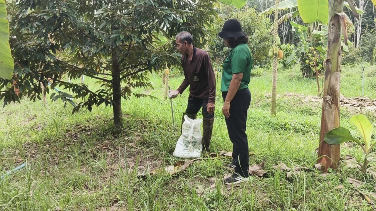 ภาพประกอบที่ 5