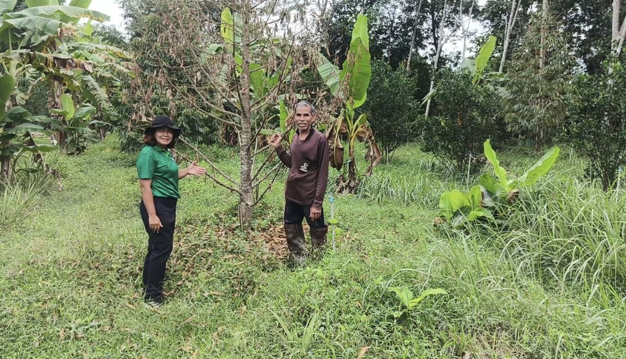 ภาพประกอบที่ 6