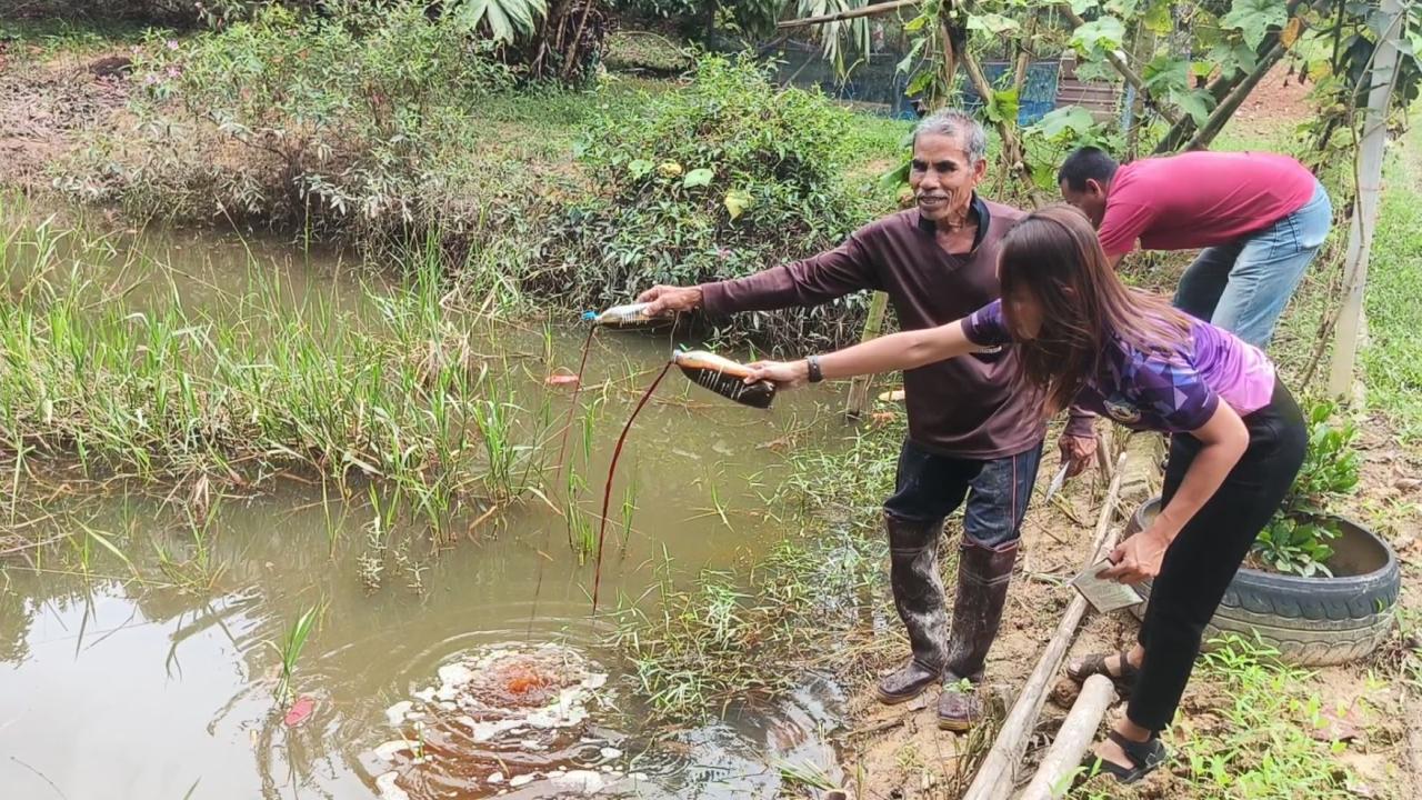 ภาพประกอบที่ 9