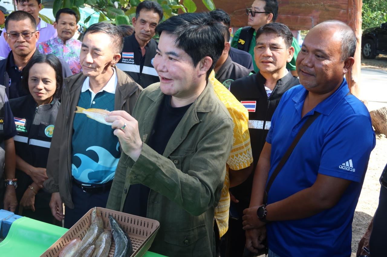 ภาพประกอบที่ 0