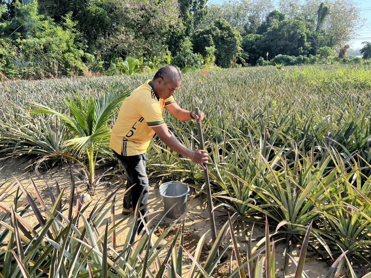 ภาพประกอบที่ 1