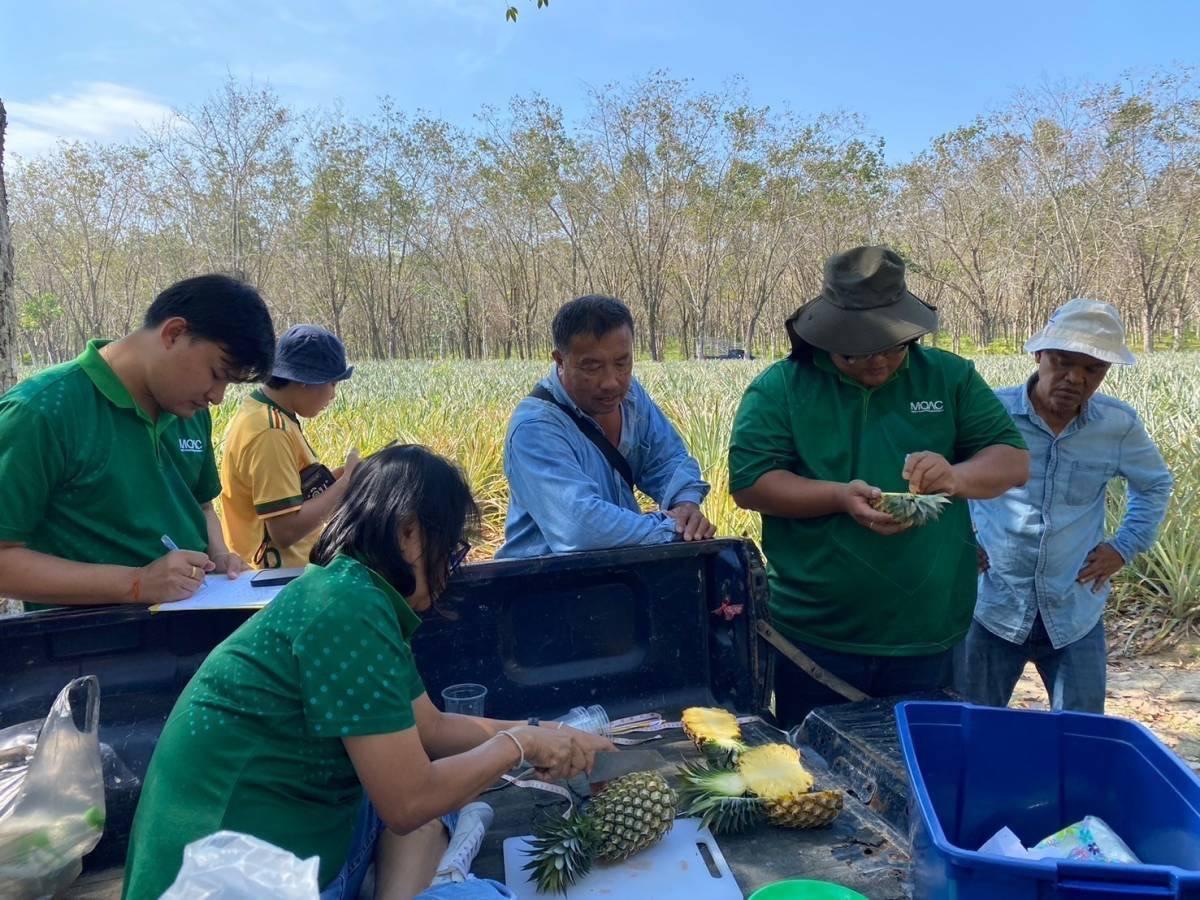 ภาพประกอบที่ 1