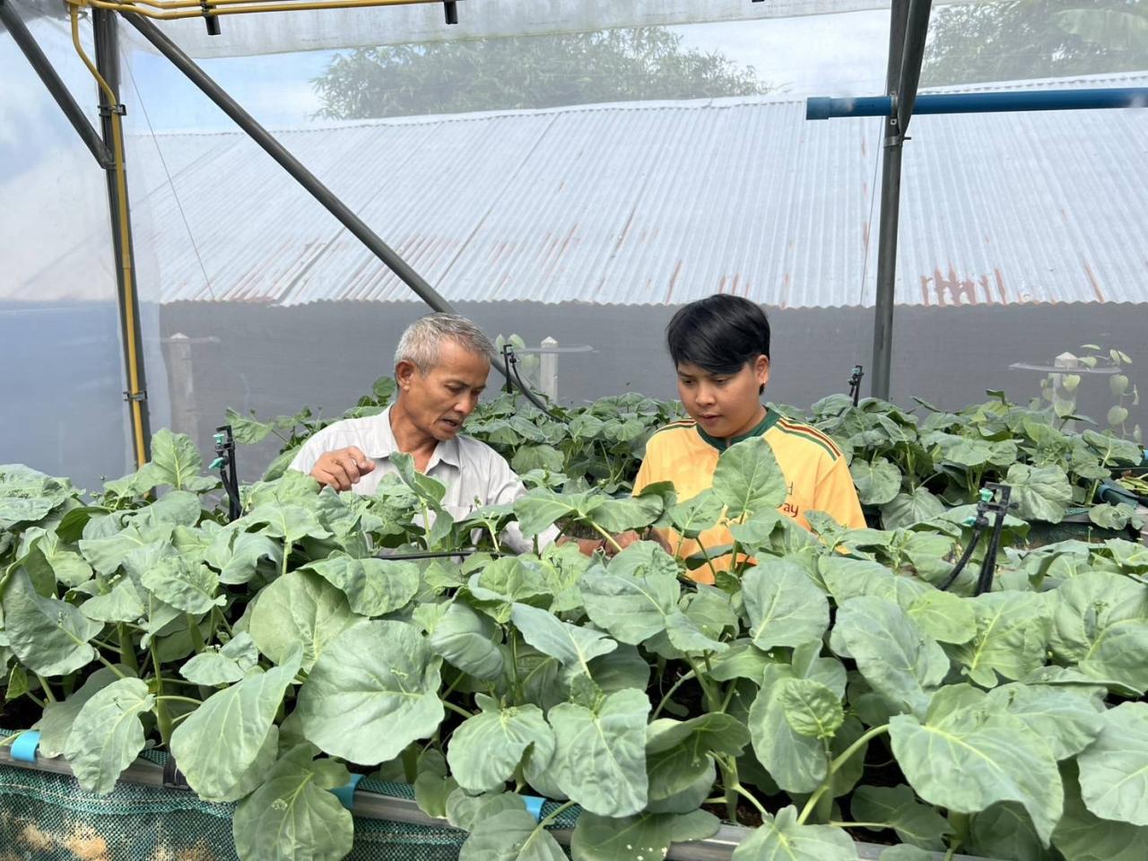 ภาพประกอบที่ 0