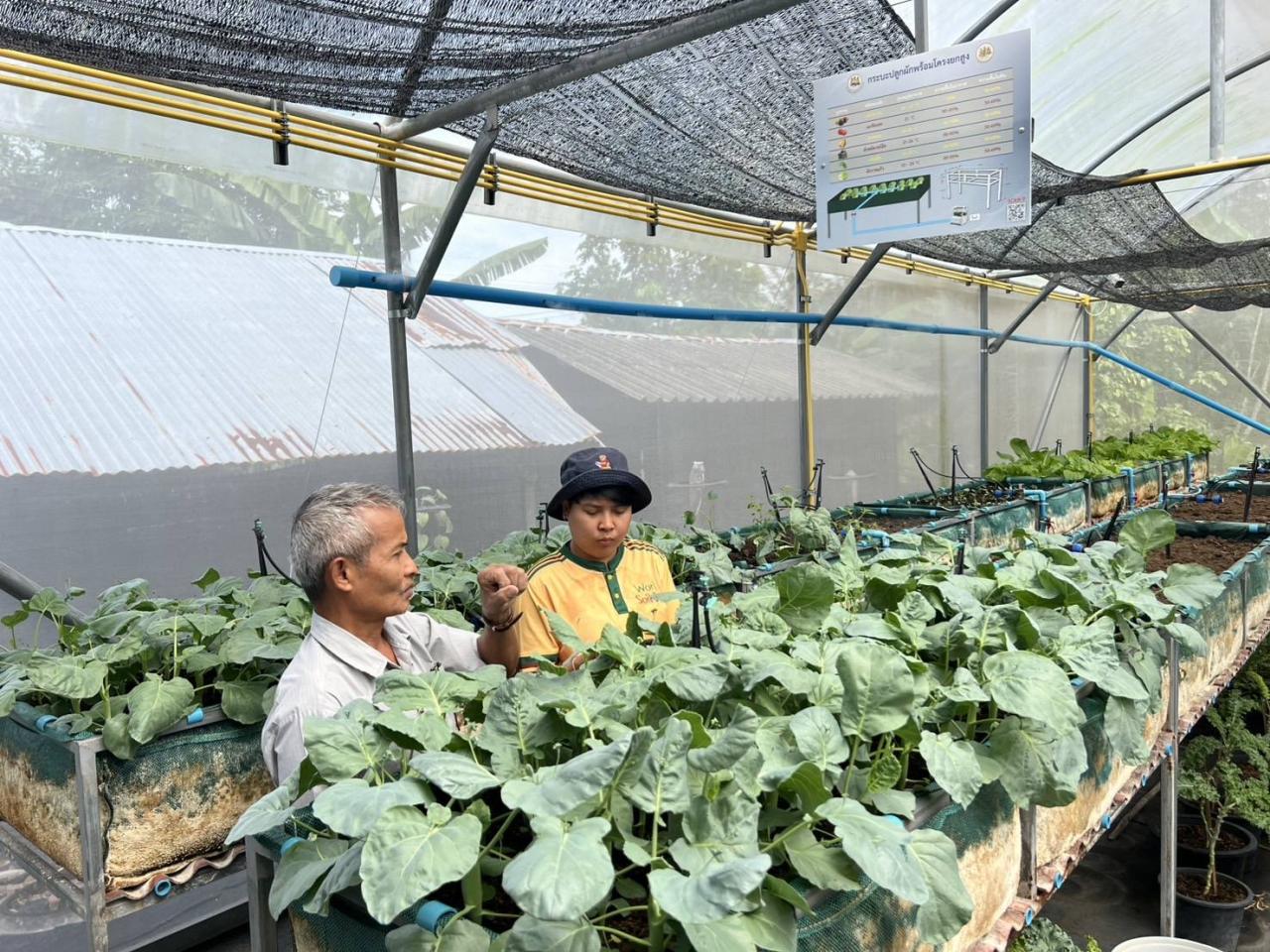 ภาพประกอบที่ 1