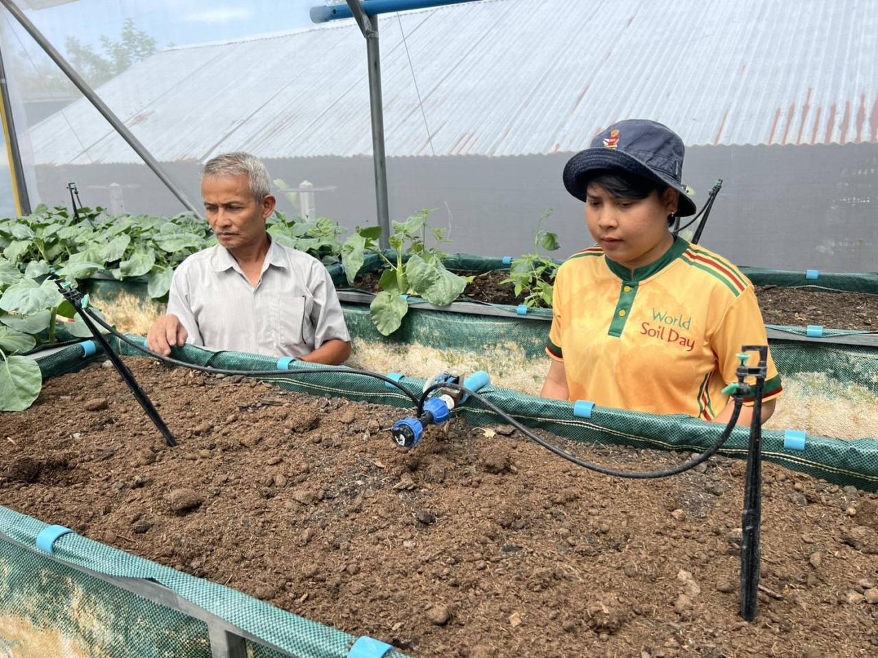 ภาพประกอบที่ 2