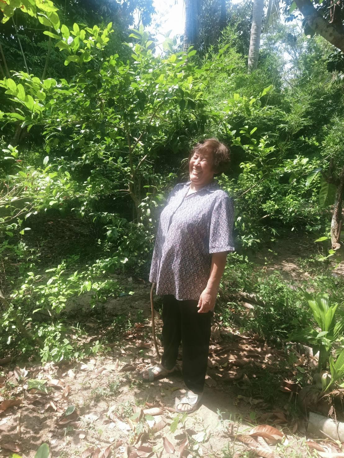 ภาพประกอบที่ 0