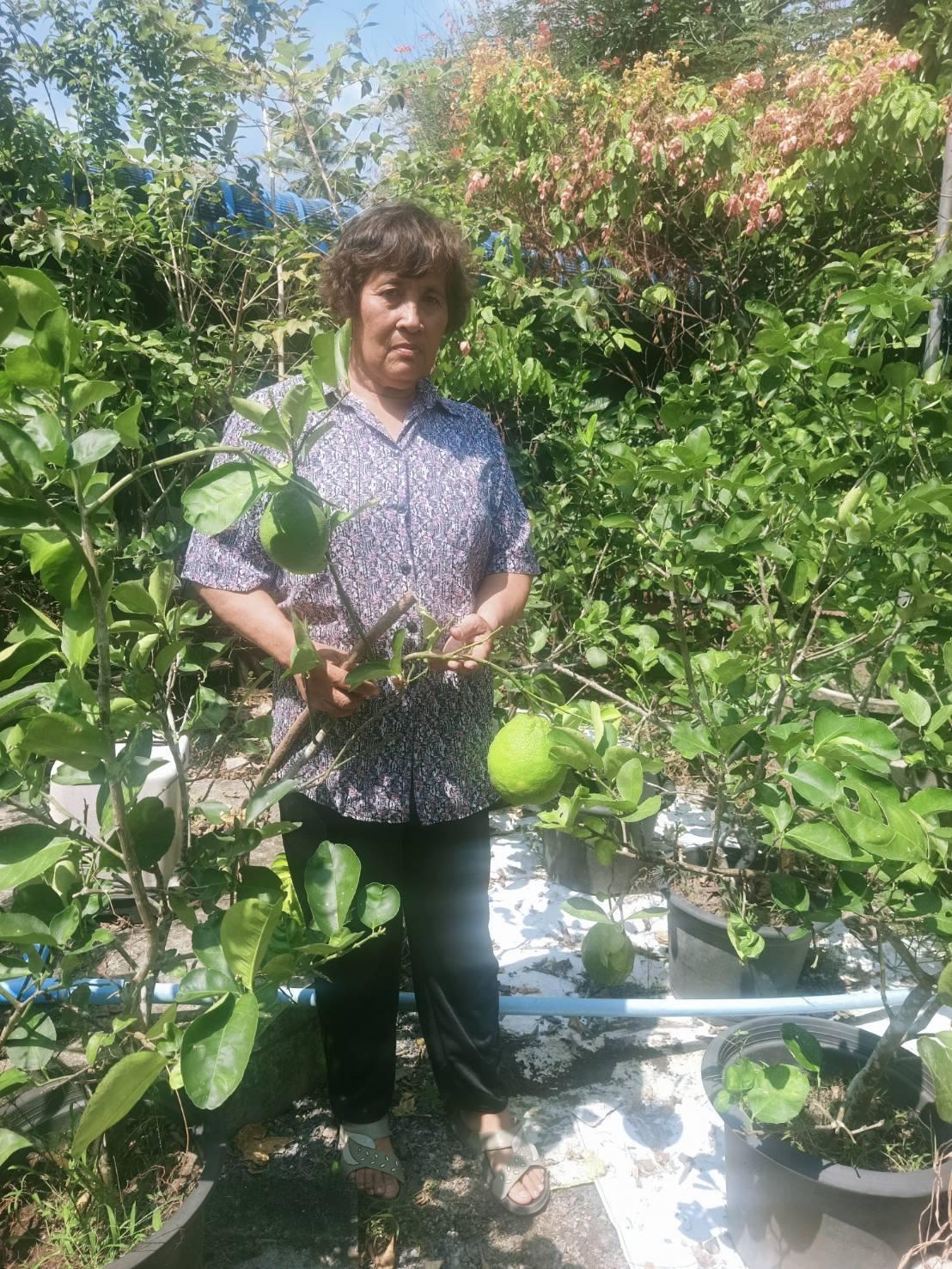 ภาพประกอบที่ 1