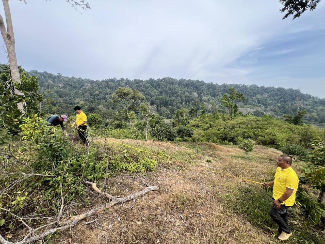 ภาพประกอบที่ 2