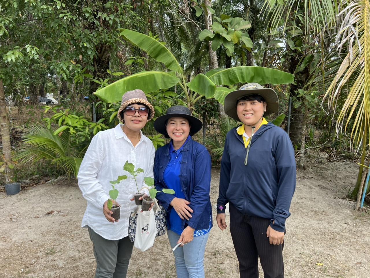 ภาพประกอบที่ 3