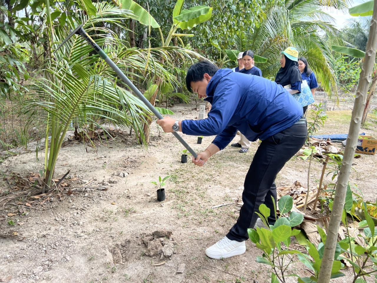 ภาพประกอบที่ 5