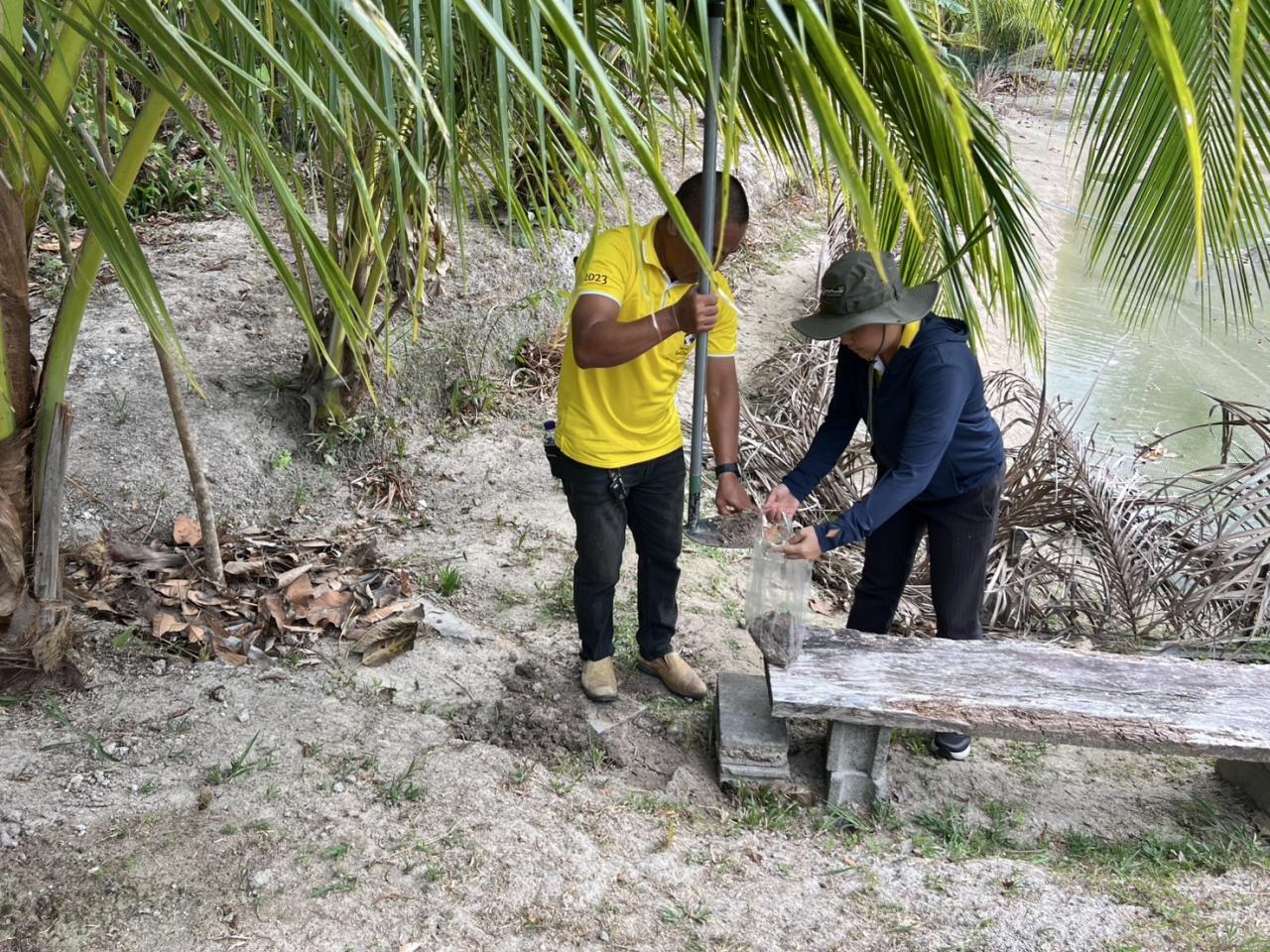 ภาพประกอบที่ 4