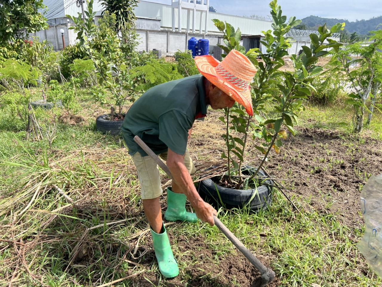 ภาพประกอบที่ 2