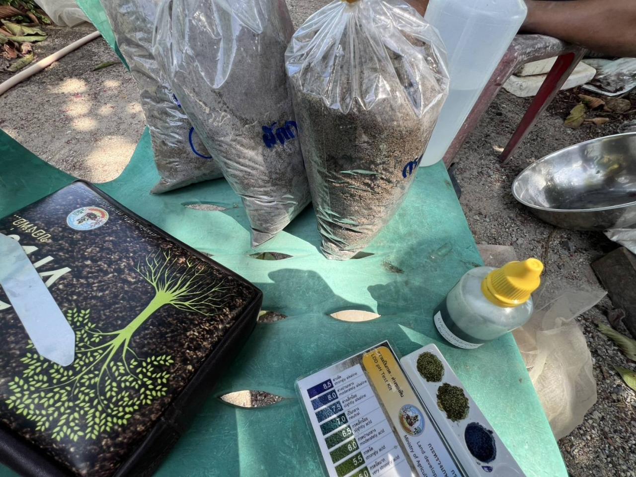 ภาพประกอบที่ 11