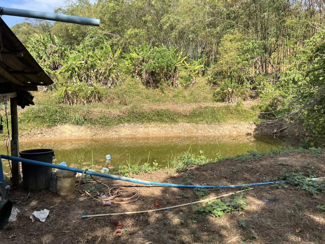 ภาพประกอบที่ 6