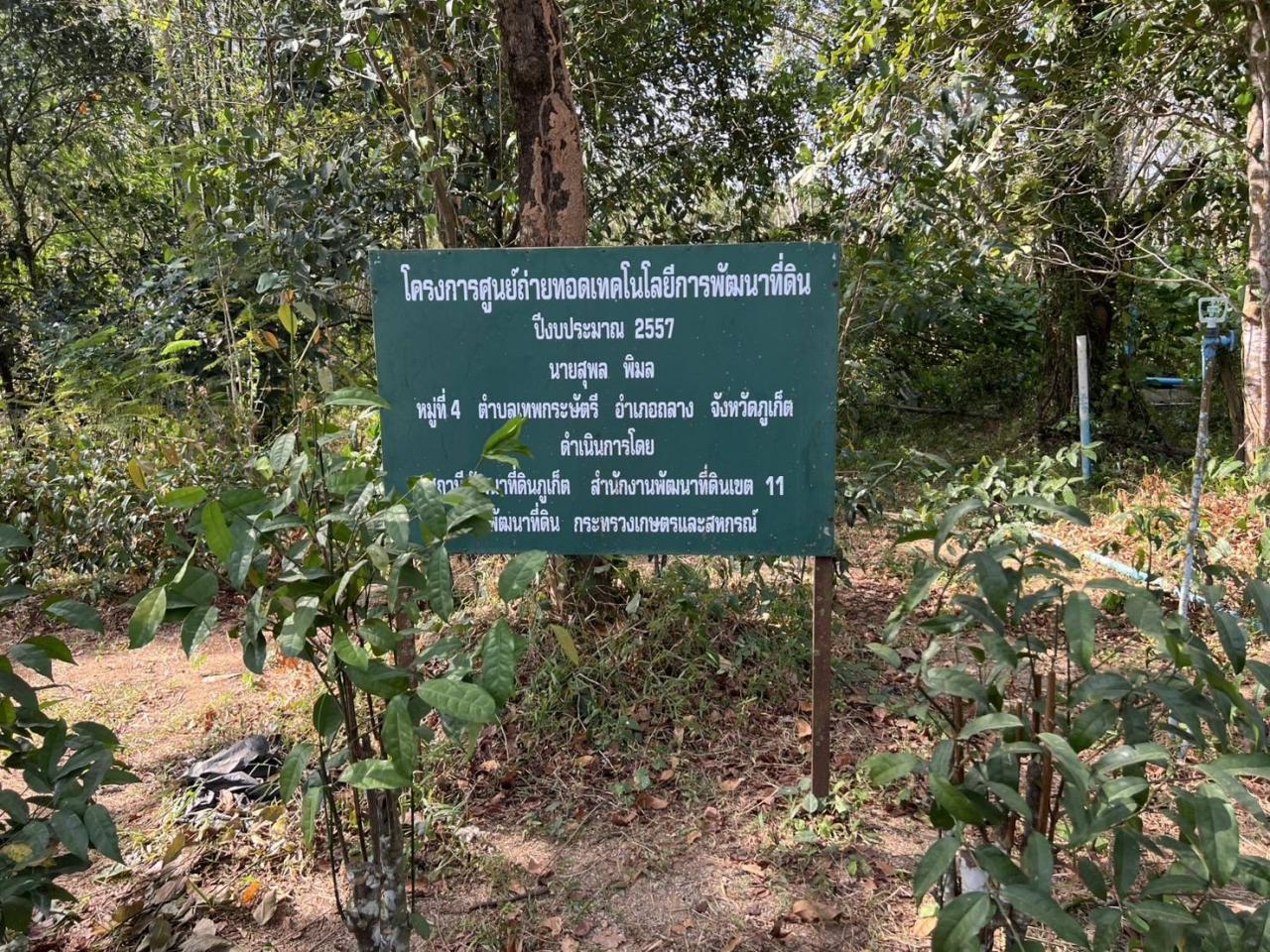 ภาพประกอบที่ 8