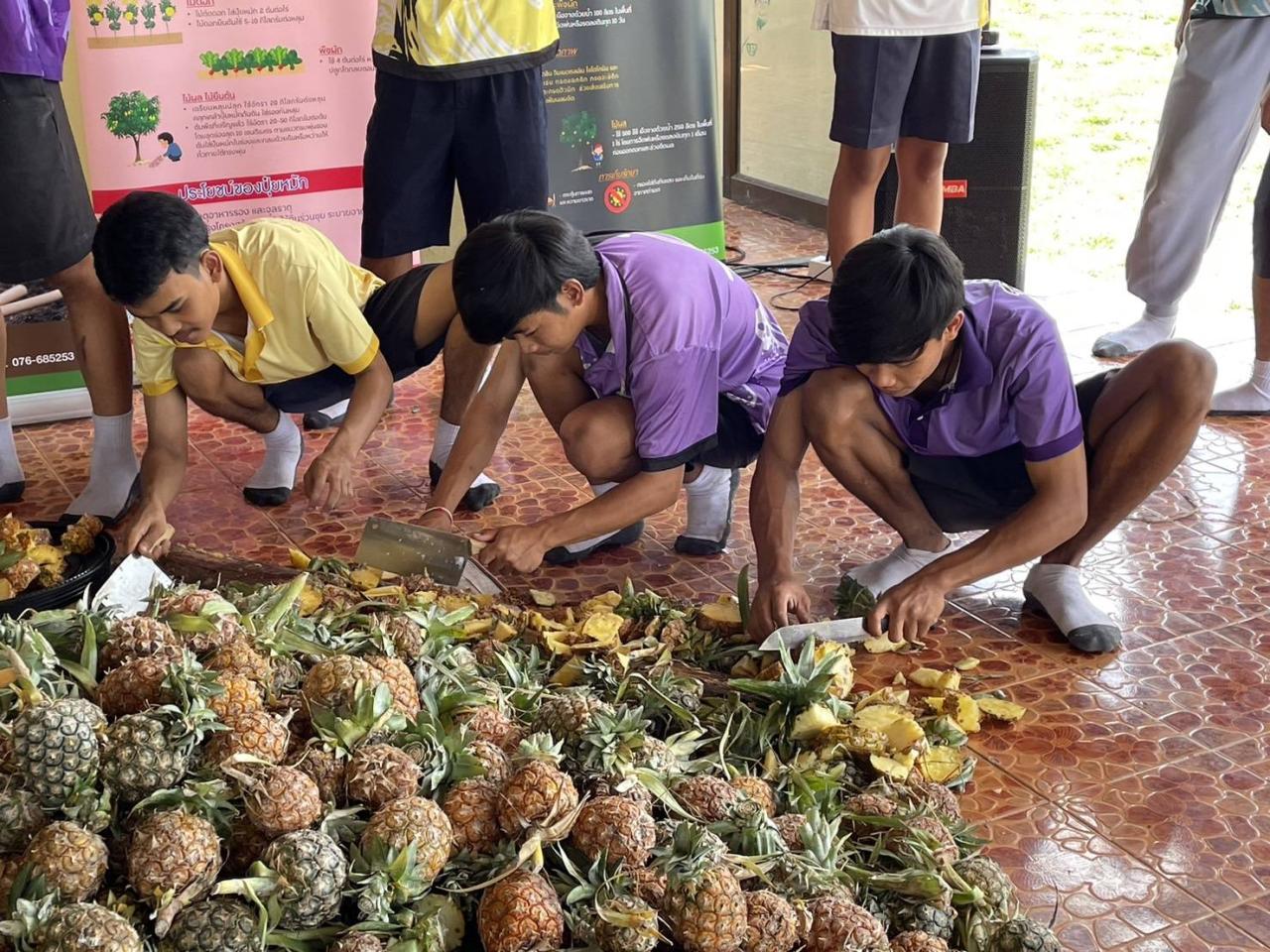 ภาพประกอบที่ 11