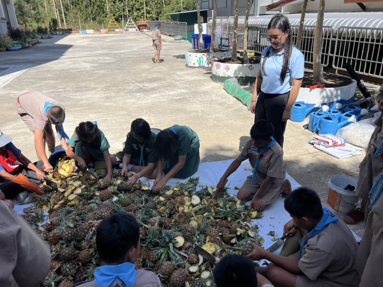 ภาพประกอบที่ 13