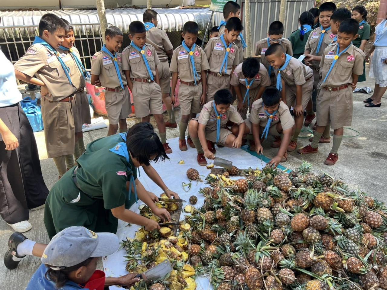 ภาพประกอบที่ 10