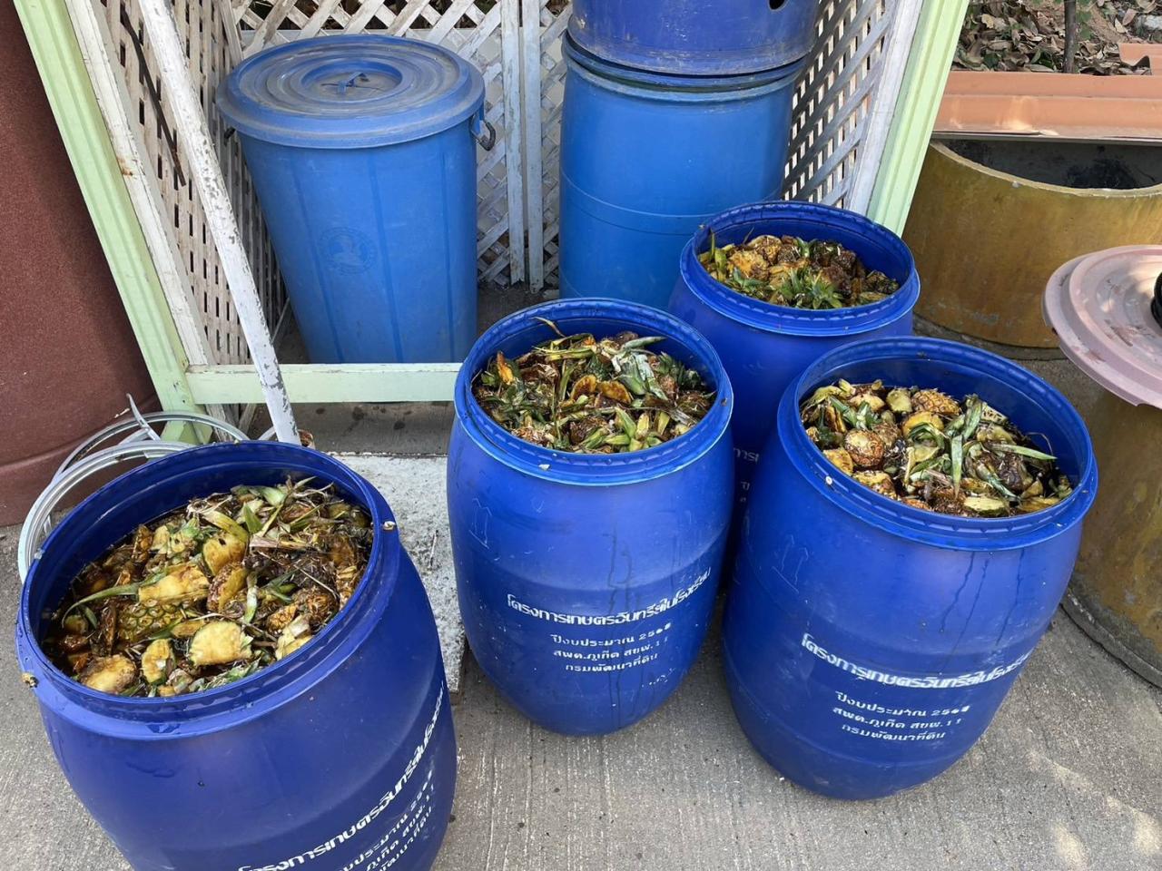 ภาพประกอบที่ 7