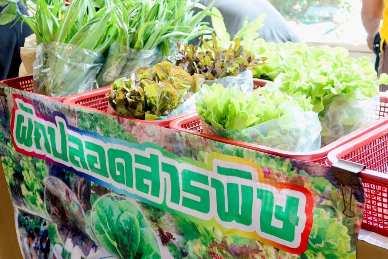 ภาพประกอบที่ 11